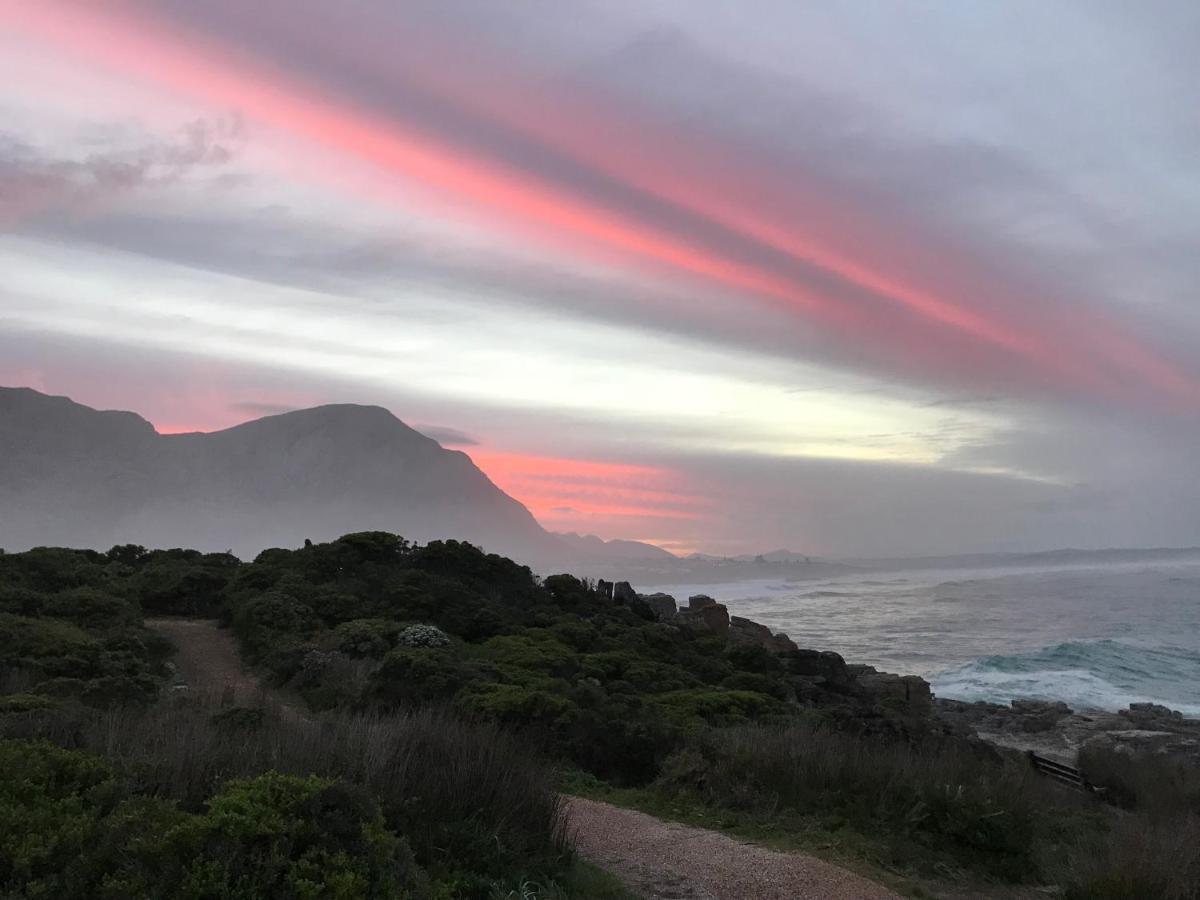 Milkwood Lodge Hermanus Buitenkant foto