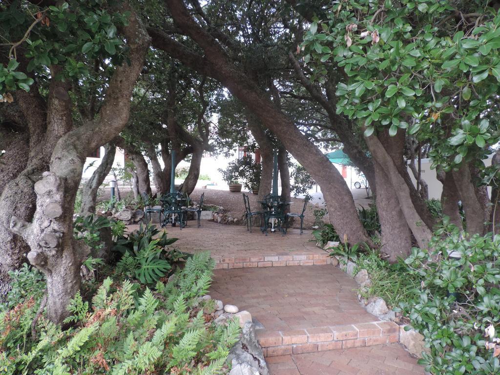 Milkwood Lodge Hermanus Buitenkant foto
