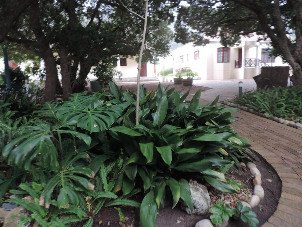 Milkwood Lodge Hermanus Buitenkant foto