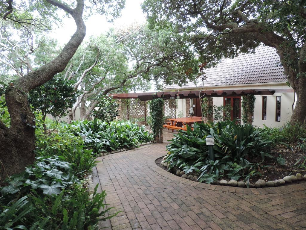 Milkwood Lodge Hermanus Buitenkant foto
