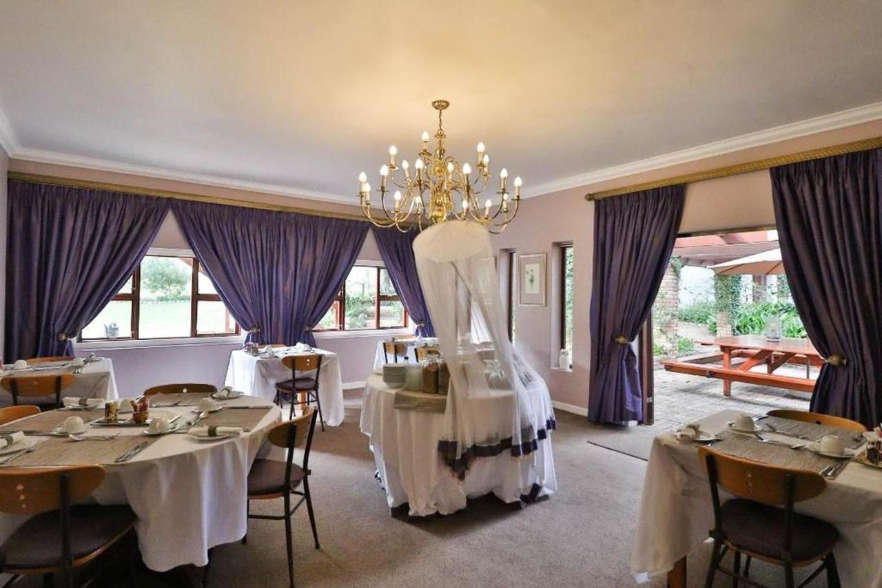 Milkwood Lodge Hermanus Buitenkant foto