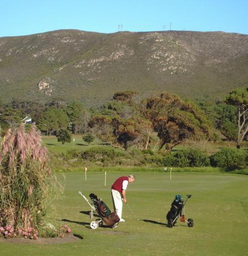 Milkwood Lodge Hermanus Buitenkant foto