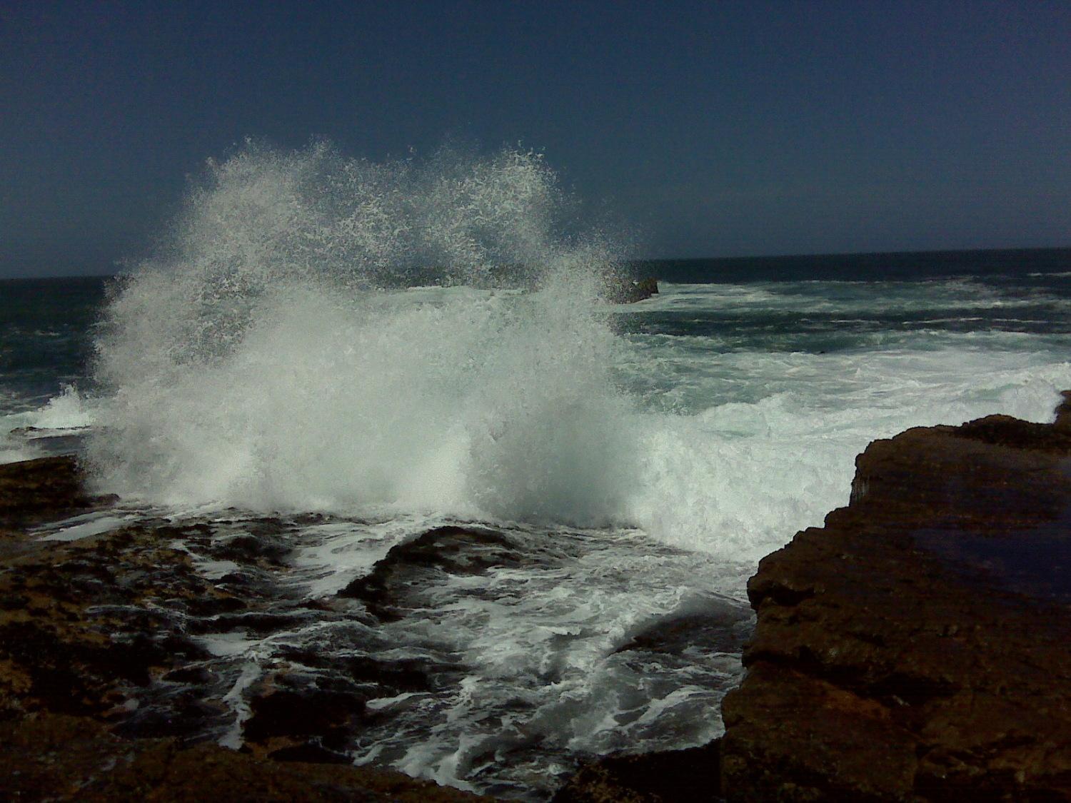 Milkwood Lodge Hermanus Buitenkant foto